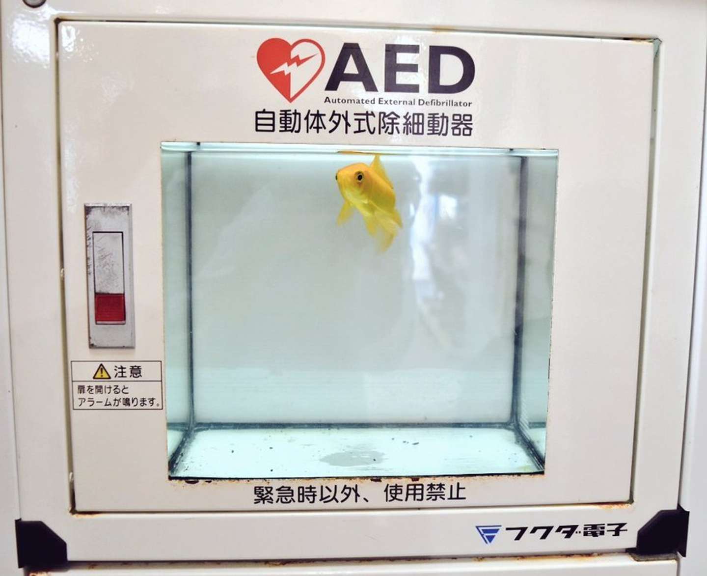 あさひ（＠tvtvtvlll）さんの投稿より、再掲