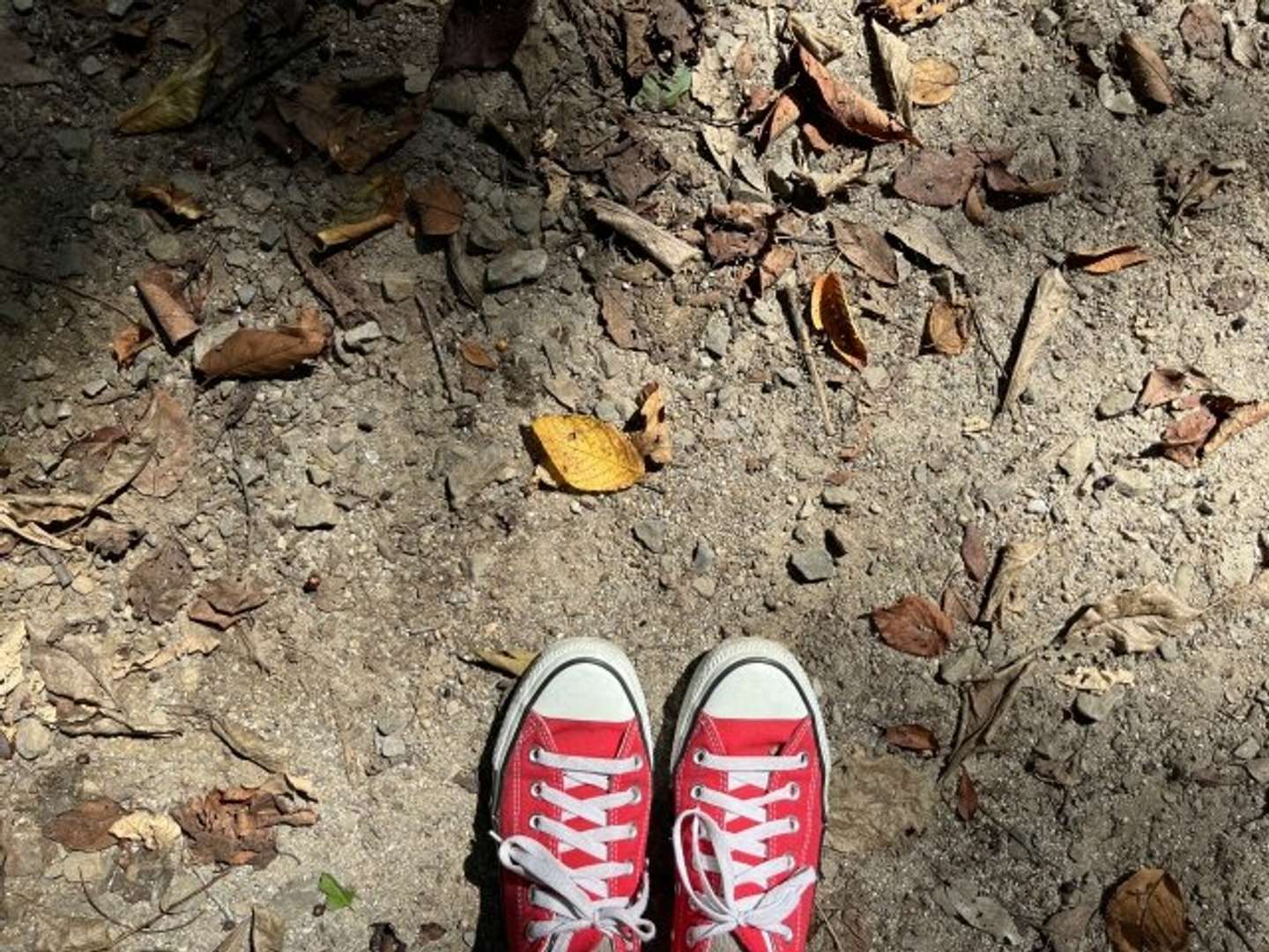 一人で下山していたら...（画像はphotoAC）