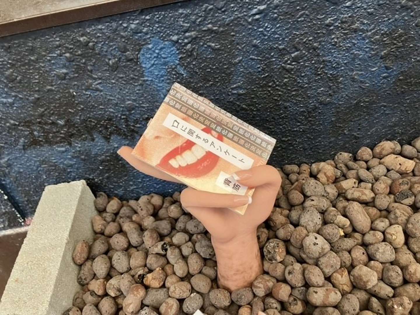 背筋が凍る（画像提供：わかさ生活）