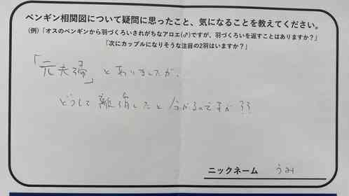 ペンギンの〝元夫婦〟が離婚したと分かるのはなぜ？　水族館の回答に3.1万人注目「深すぎる、ペンギンの恋愛模様...」