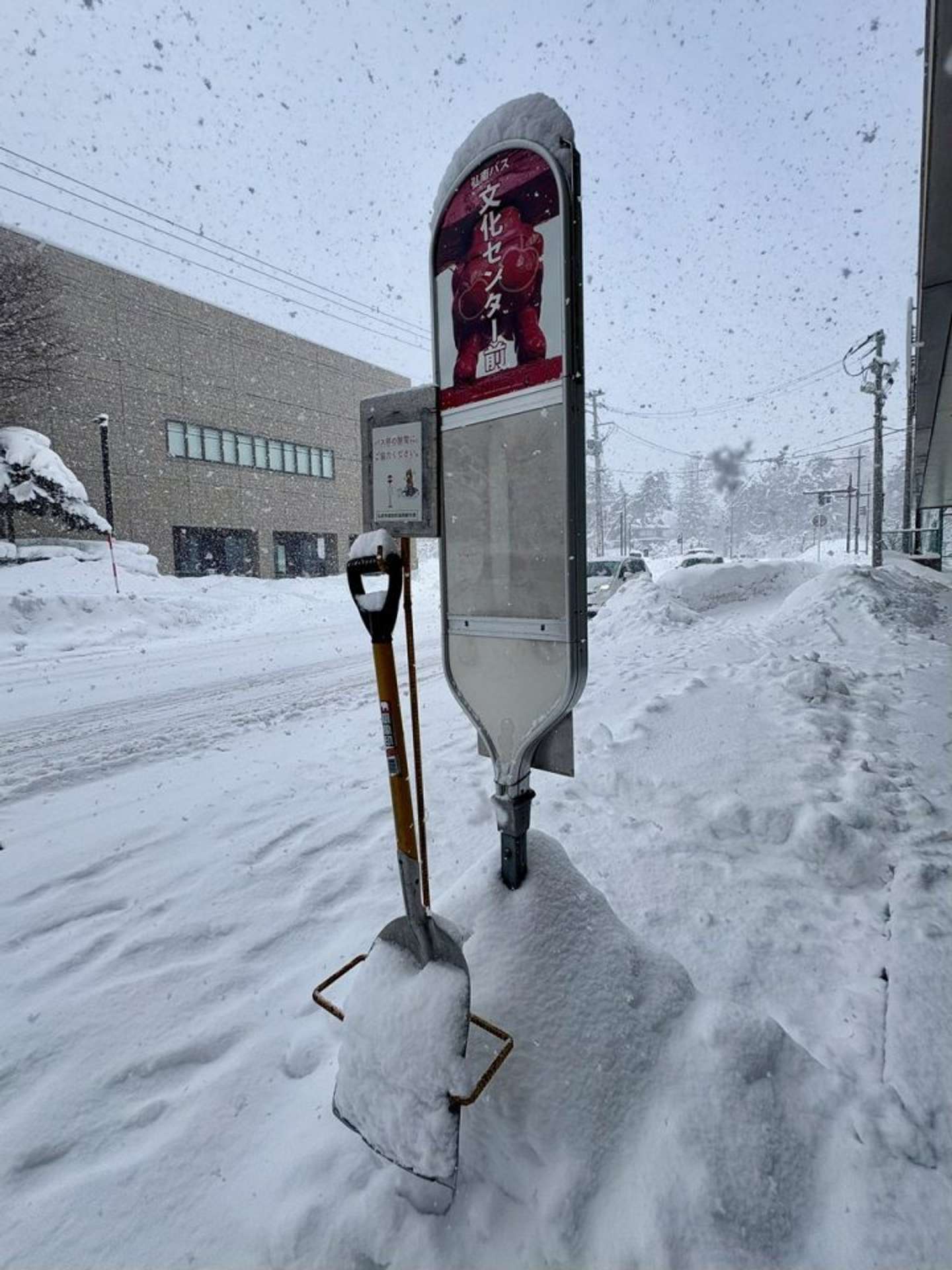 「弘前物産パルシー」【公式】アカウント（＠hirosakipalcy）の投稿より