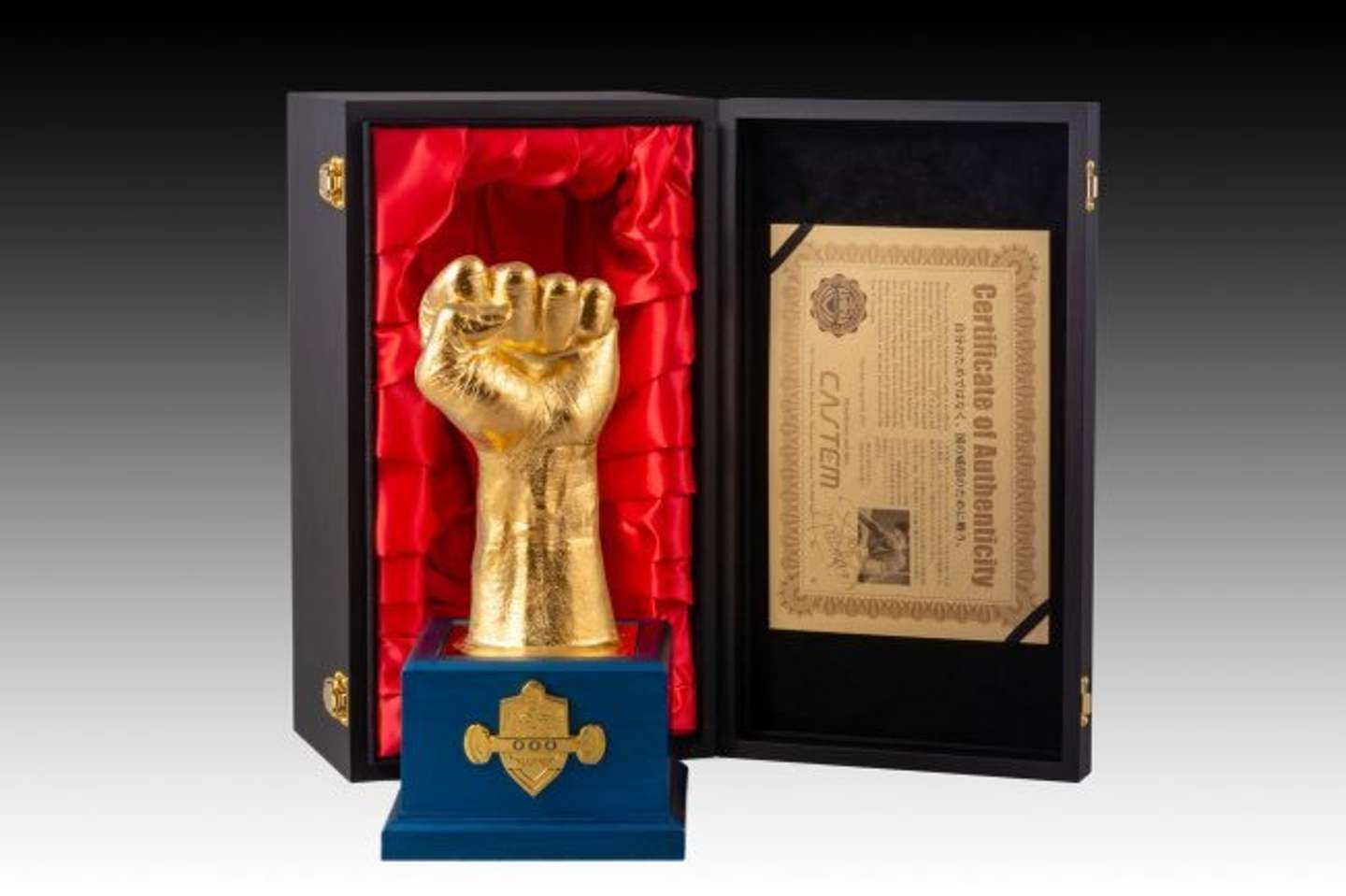 マニー・パッキャオ選手の手型（画像はIRON FACTORY IKEDA＠IRON_IKEDAさんの投稿より）