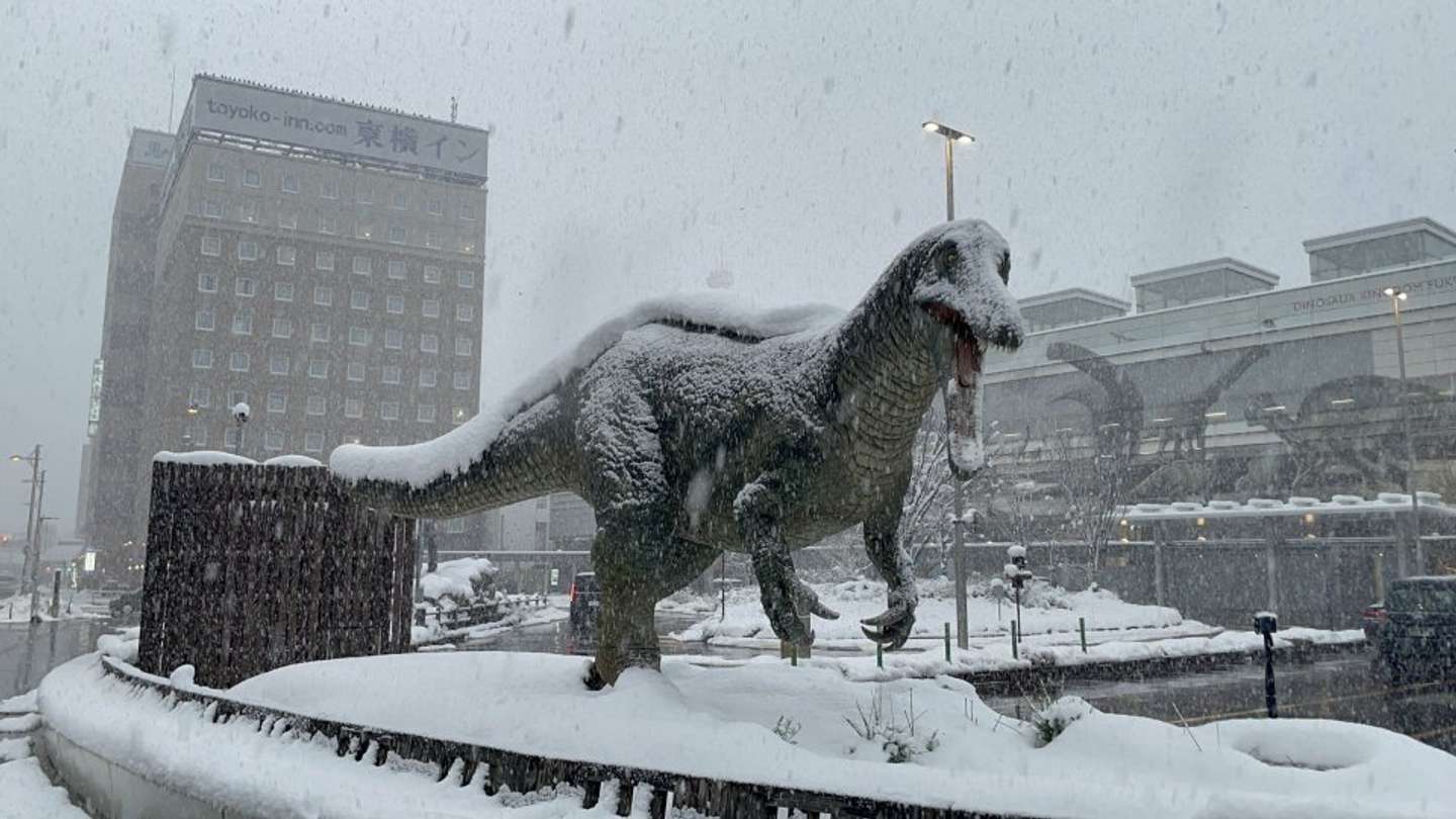 22日午後の福井駅前（爆戦＠62gata_Bakusenさんの投稿より）