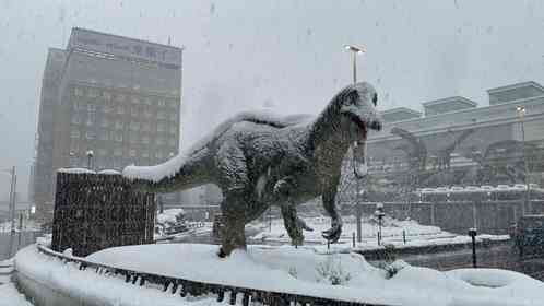 22日午後の福井駅前（爆戦＠62gata_Bakusenさんの投稿より）