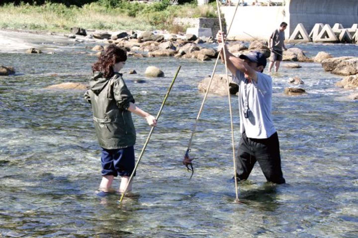 毎年秋に開催される「磯ダコ捕りツアー（1泊2日）」も人気（画像は粟島観光協会公式サイトより）