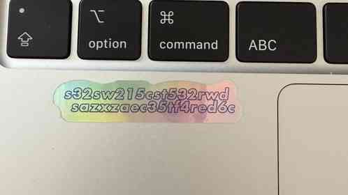 画像はサメちゃん笑（＠shark_kutakuta）さんの投稿より