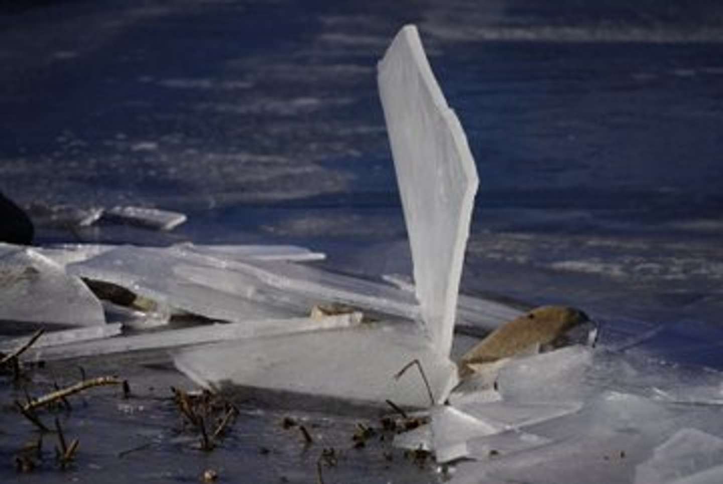 正体は？（画像はkannagi＿ts＠kannagi＿tsさんの投稿より）