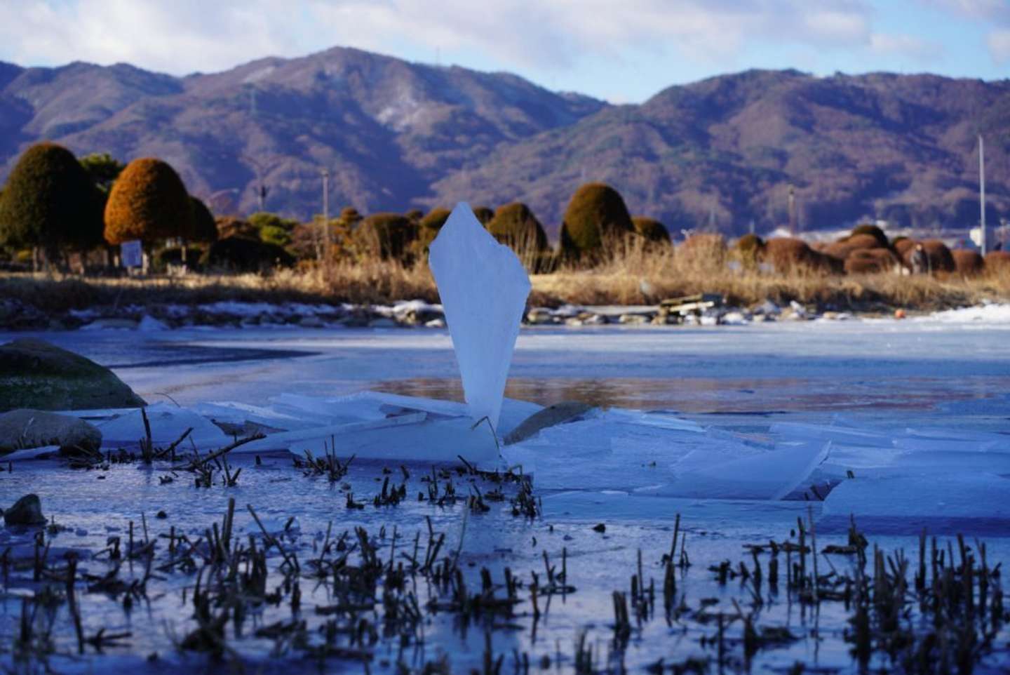 何か、立ってる？（画像はkannagi＿ts＠kannagi＿tsさんの投稿より）