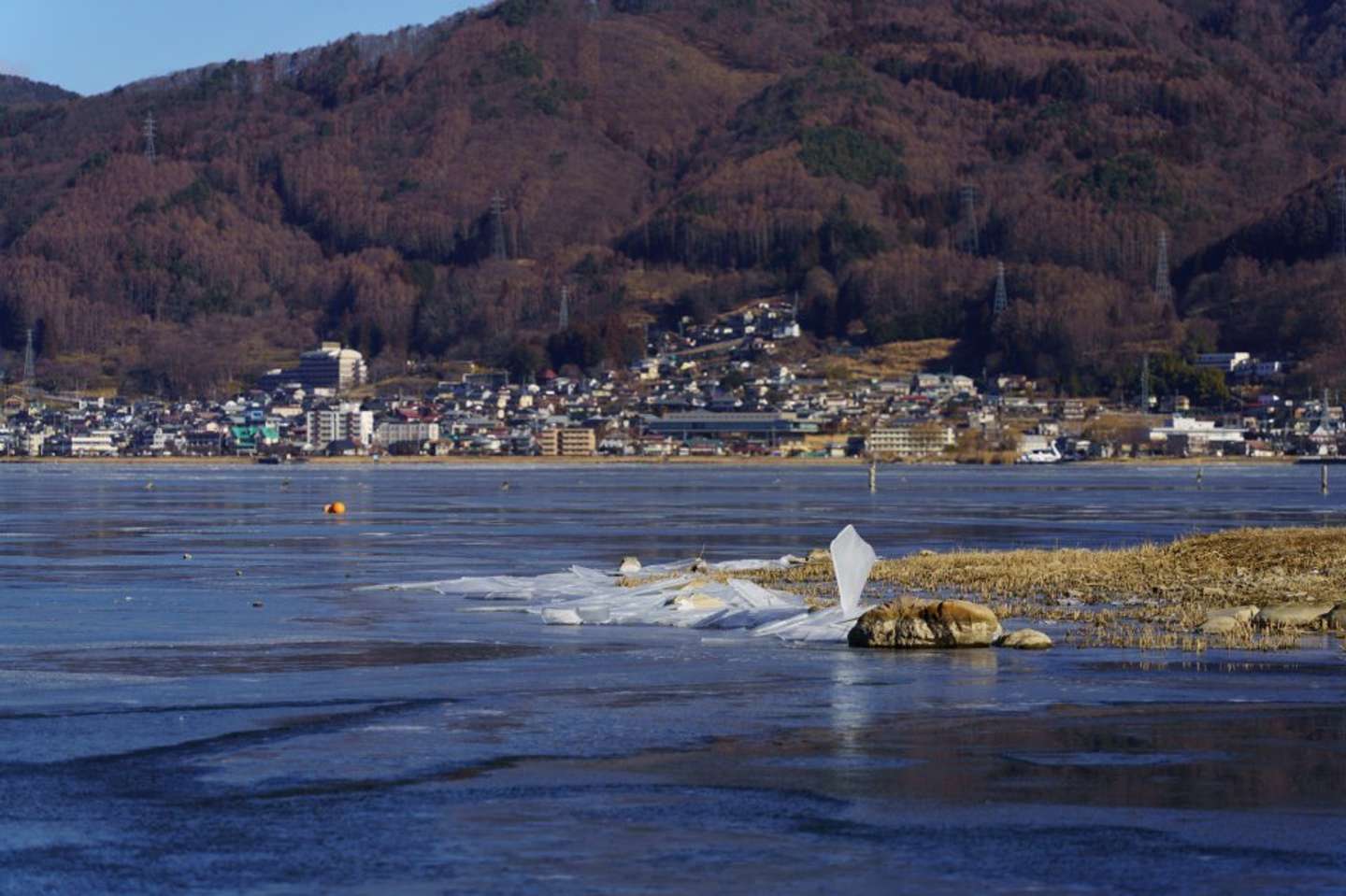 画像はkannagi＿ts＠kannagi＿tsさんの投稿より