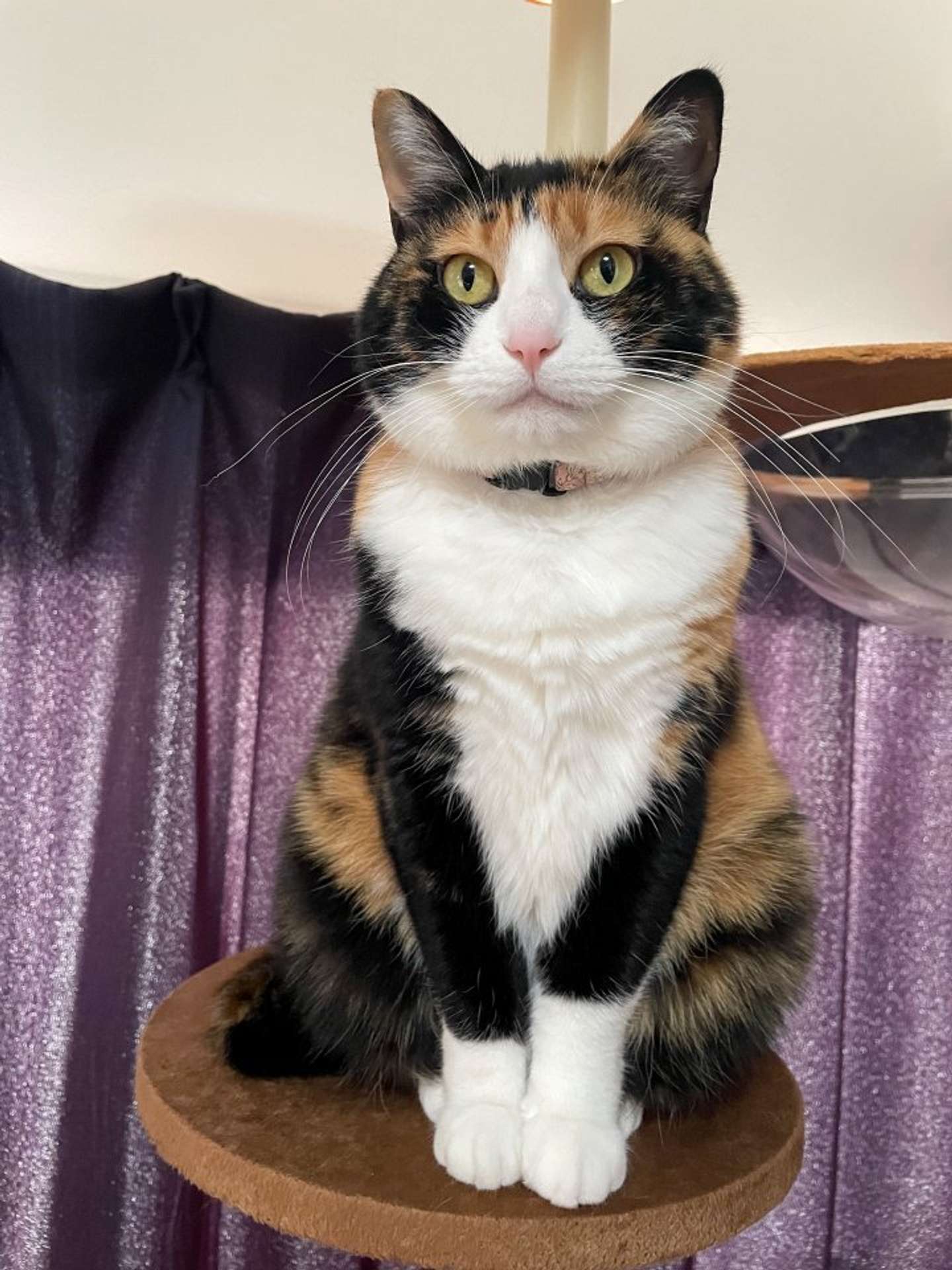 ズレてるよ～（画像は＠nibi_to_tabiさんの投稿より）