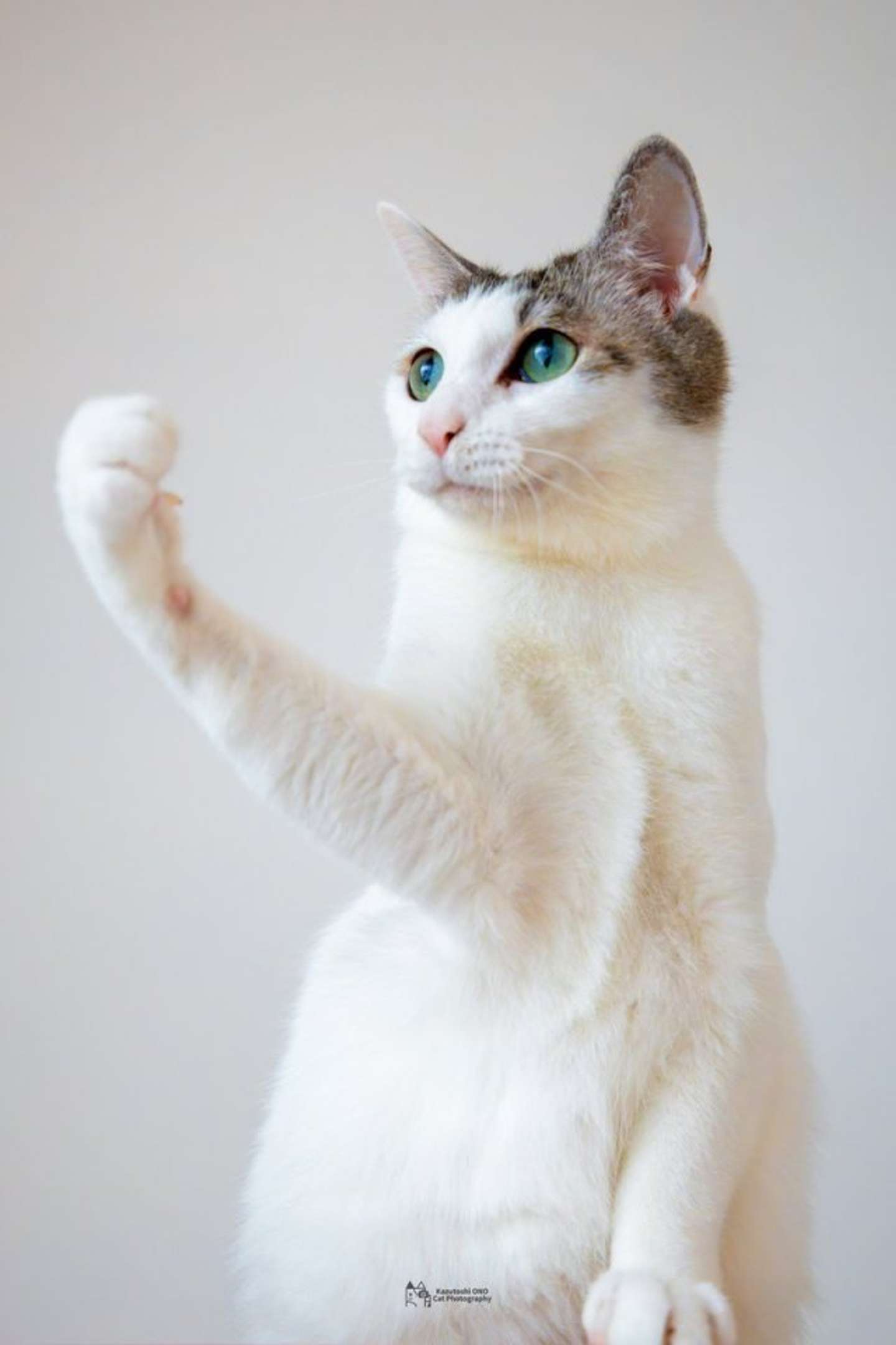 目線は未来へ（小野一俊（＠kazutoshi_ono_）さんの投稿より）