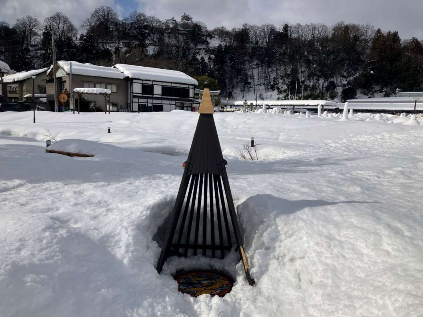 雪から守られたカイリュー（画像提供：大野市）