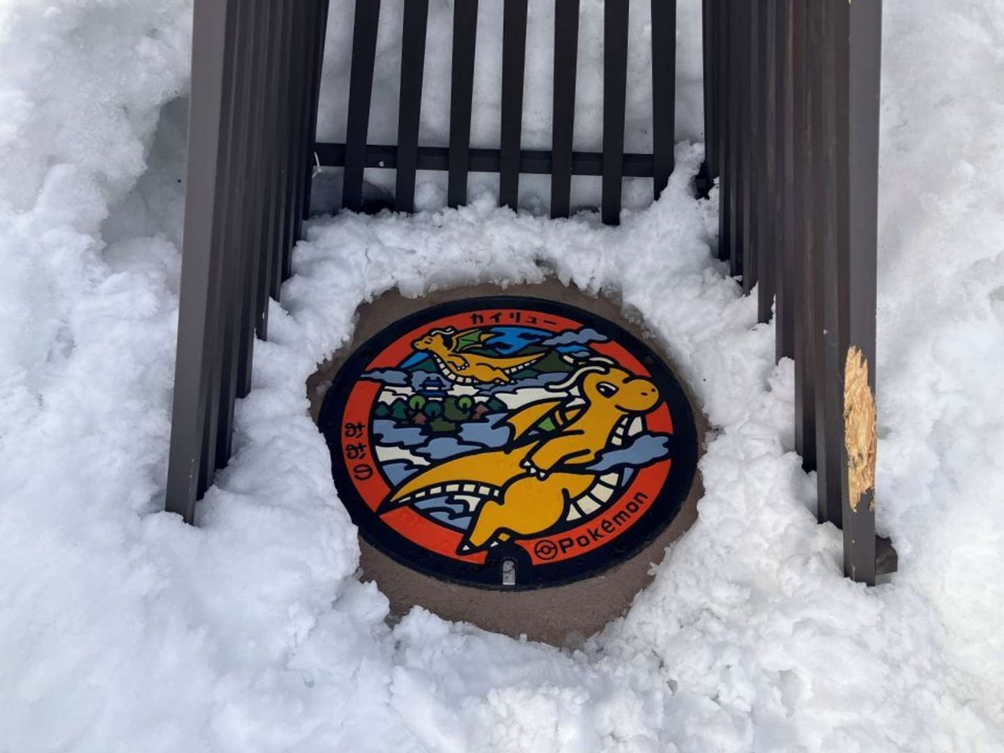 市が設置したものだった（画像提供：大野市）