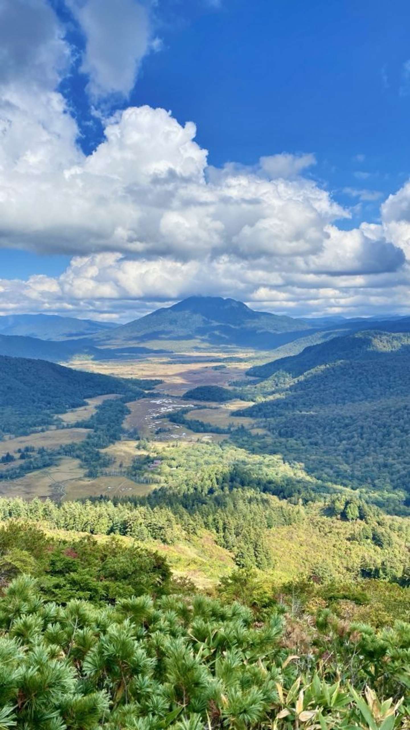 「れん」（＠xRENZAURx）さんの投稿より、再掲