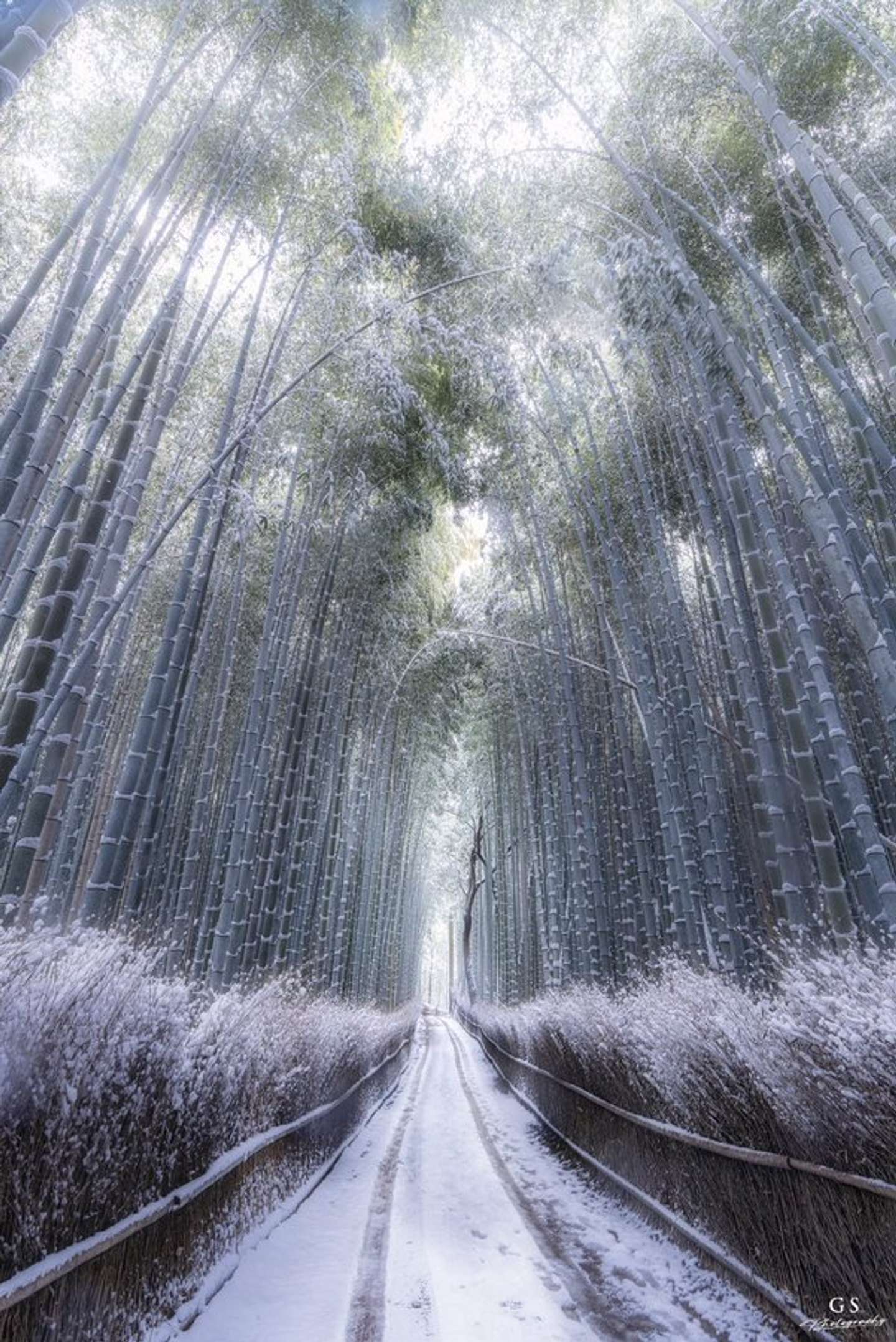 aki（＠aki_goodspeed）さんの投稿より、再掲