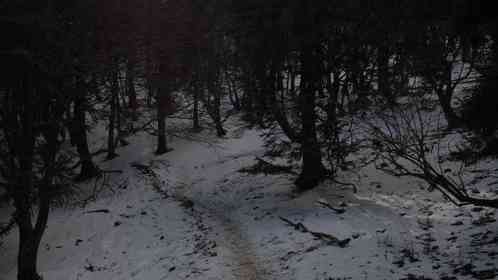 ある日の登山で（画像はphotoAC）