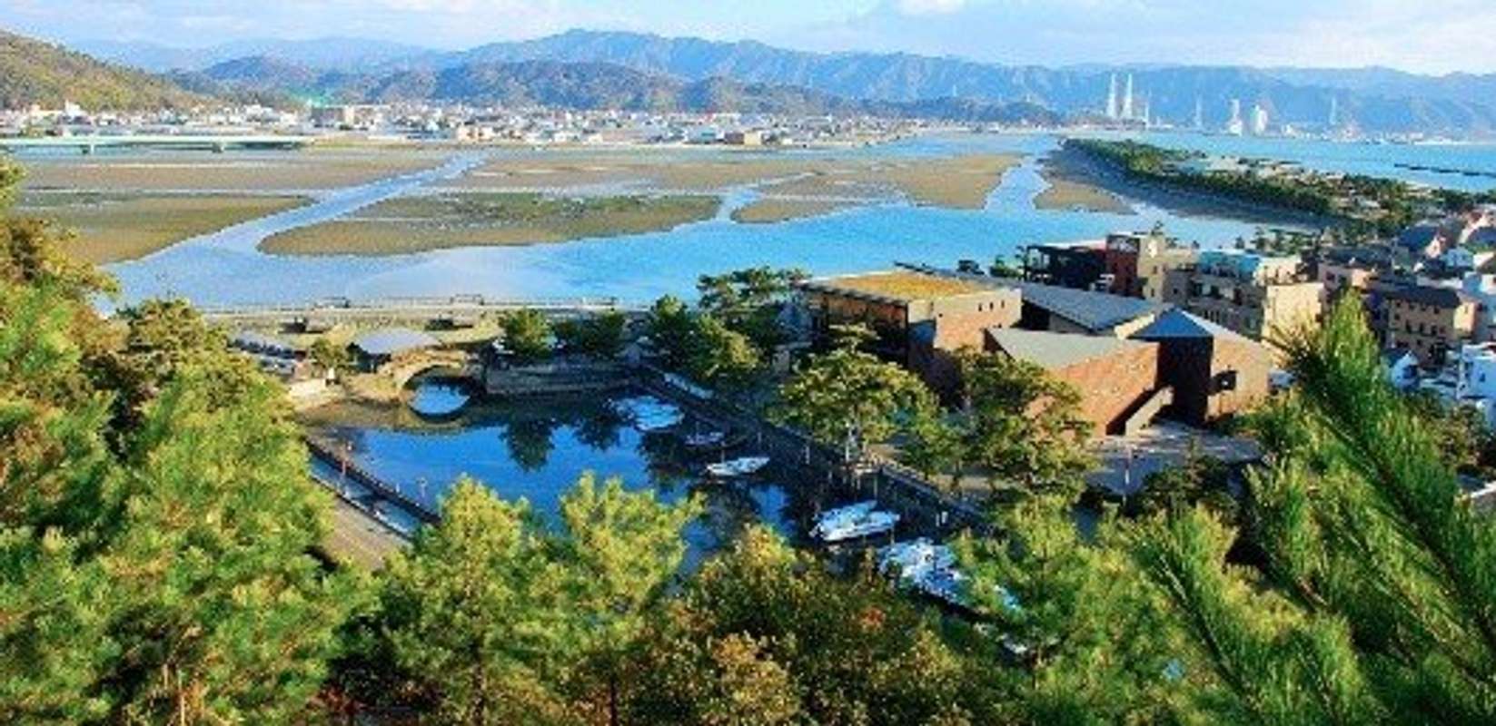 国名勝に指定されている和歌の浦の干潟（画像はプレスリリースより）