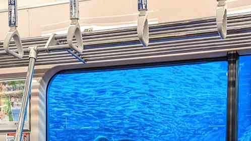 画像は快速急行＠Express_OERさんの投稿より