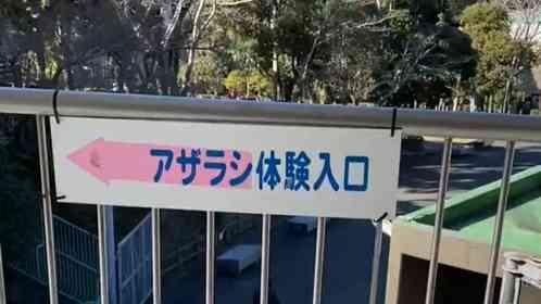 「いや怖」「悲鳴をあげてしまった」　静岡・日本平動物園の〝アザラシ体験〟が恐ろしすぎて...2.1万人戦慄