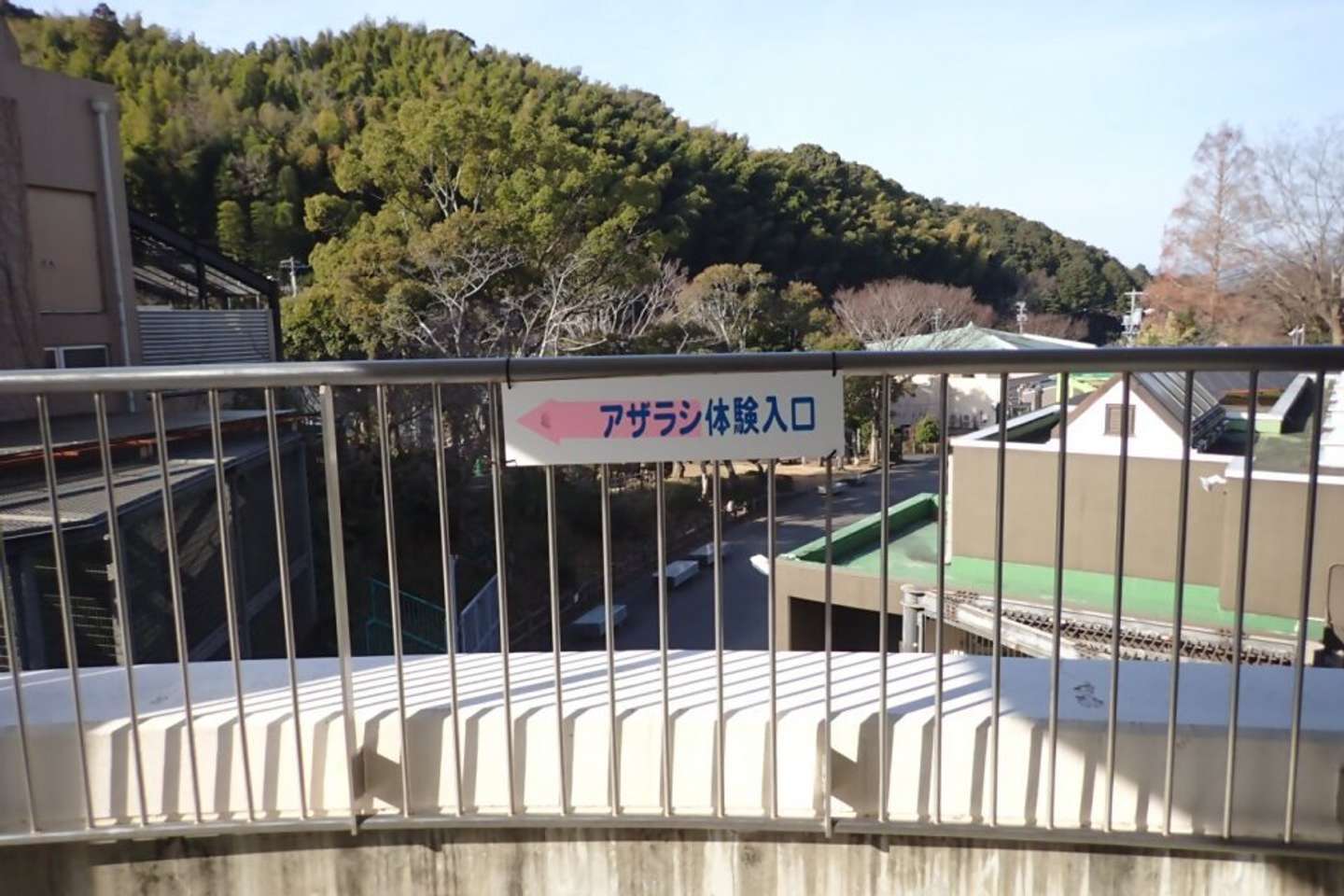 「アザラシ体験」コーナー看板（写真提供：静岡市立日本平動物園）