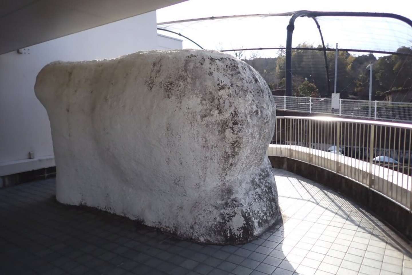 「アザラシ体験」コーナー外観（写真提供：静岡市立日本平動物園）