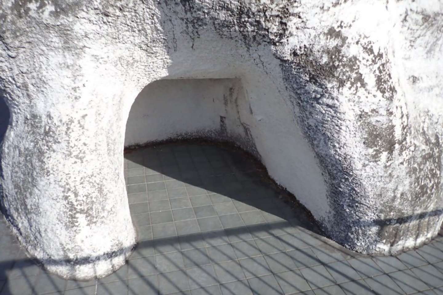 コーナーの入り口（写真提供：静岡市立日本平動物園）