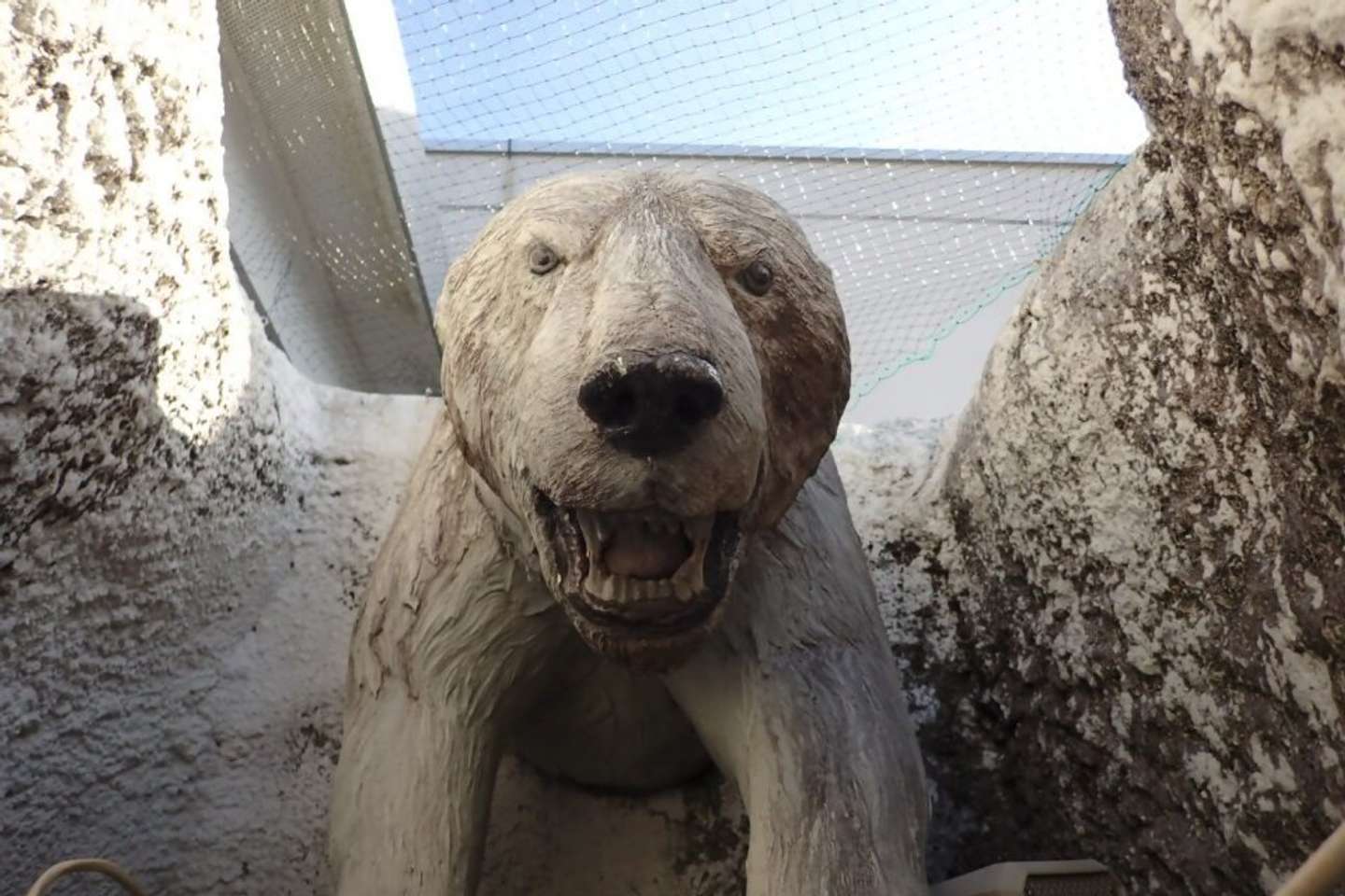 迫力満点だ（写真提供：静岡市立日本平動物園）