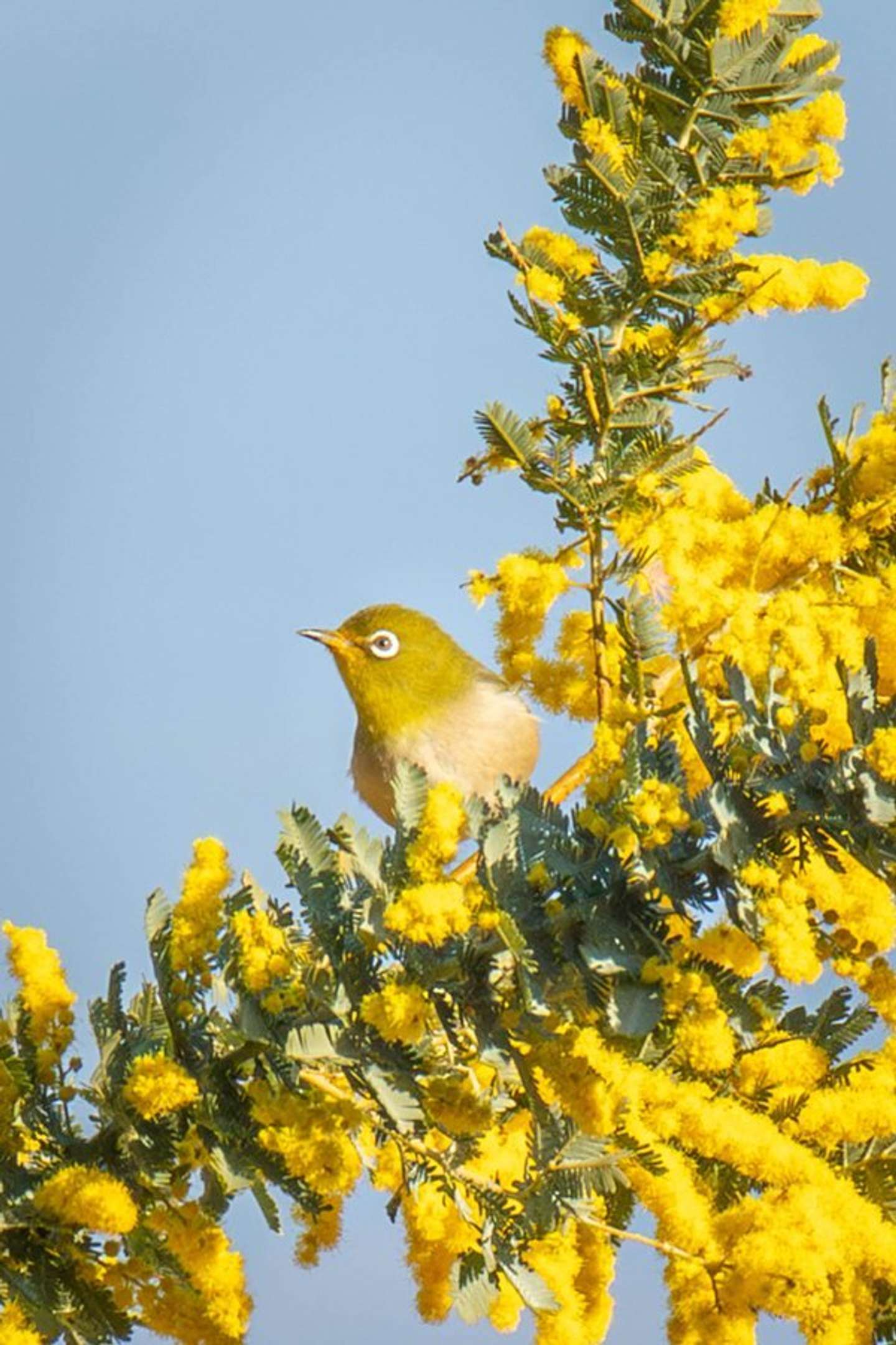 よしと（＠yoshito_photo1）さんの投稿より