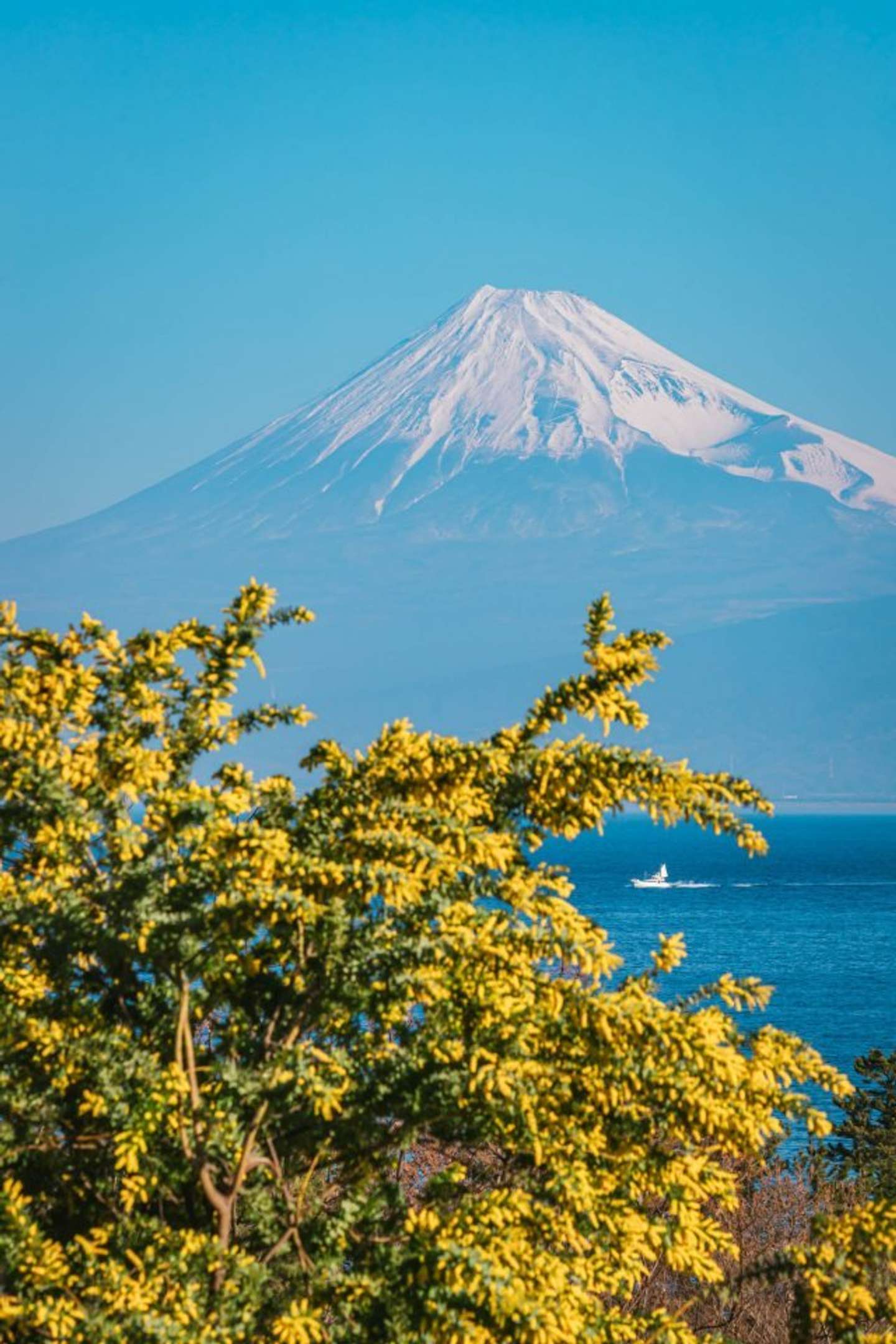 よしと（＠yoshito_photo1）さん提供