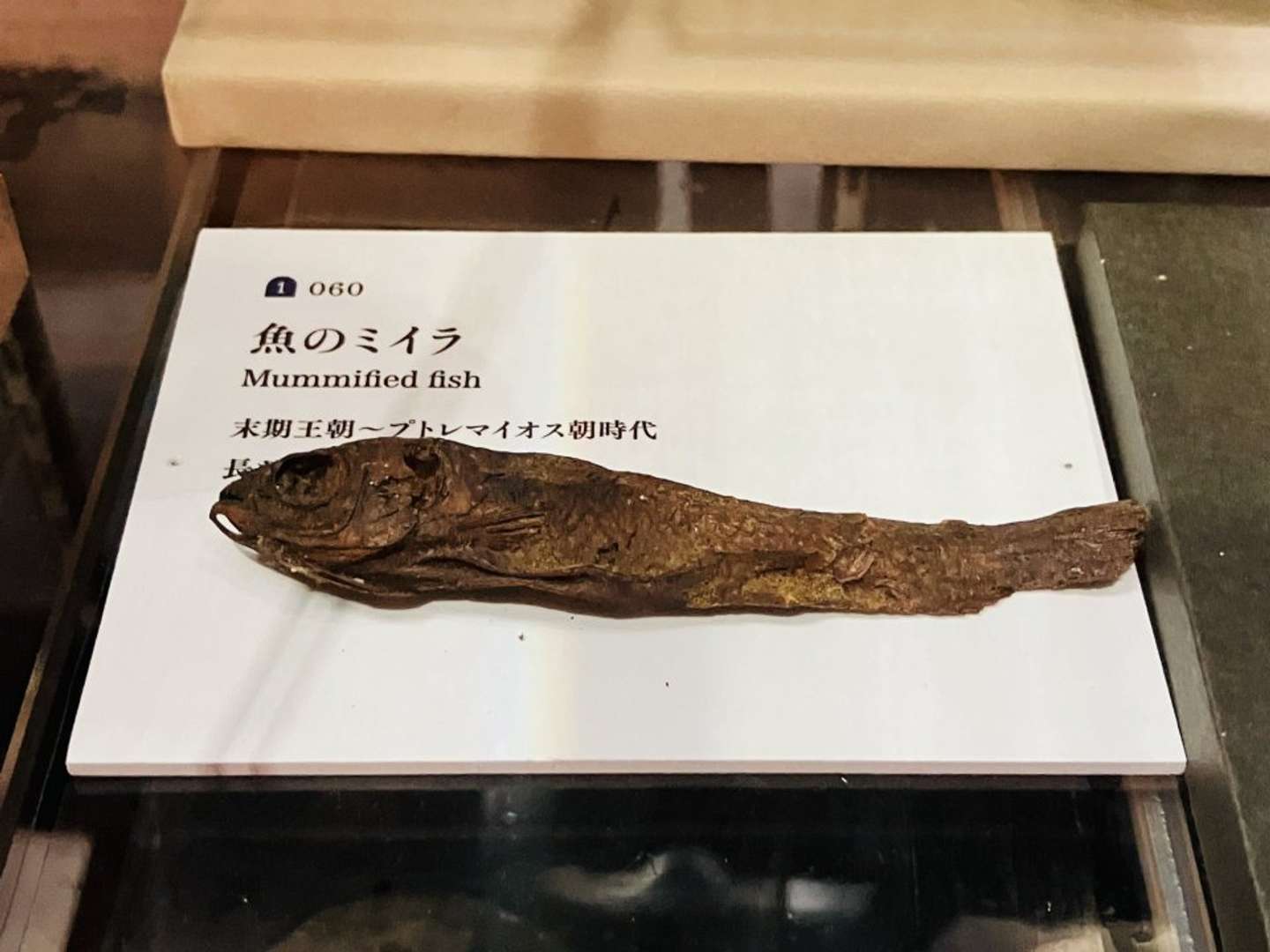 干物っぽいミイラ（画像はいつき＠eki_itsukiさんの投稿より）