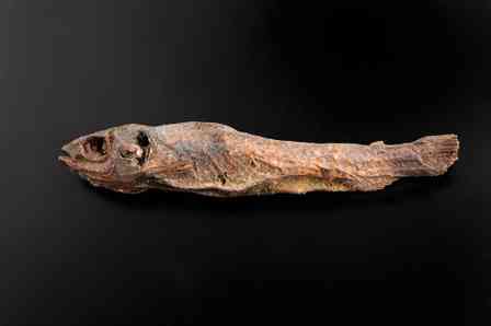 「魚のミイラ」（写真提供：古代エジプト美術館）