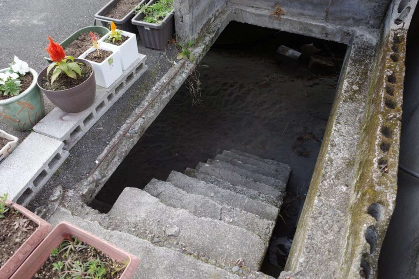 謎の階段だ（画像は腹よわボーイ＠nori7770さんの投稿より）