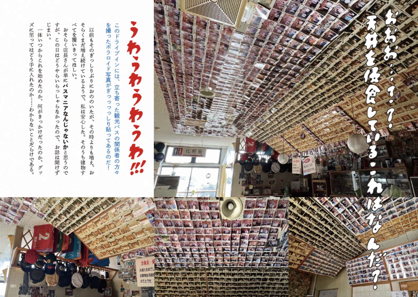 『デッドエンドで宝探し: あんたは青森のいいとこばっかり見ている』ドライブイン