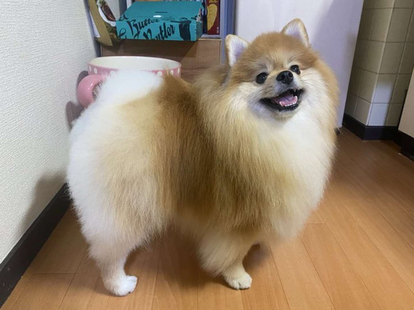 画像は橘紫夕（＠tachibana_shiu）さんの投稿より