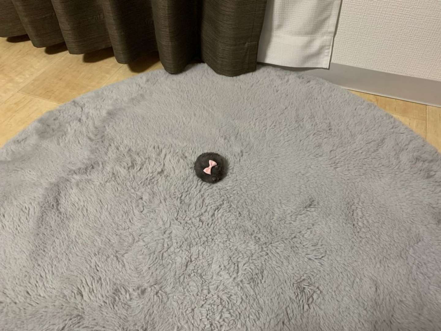 「エンタ治療院」（＠entachiryouin）さんの投稿より