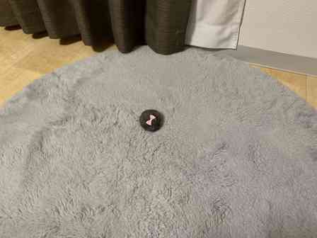 「エンタ治療院」（＠entachiryouin）さんの投稿より