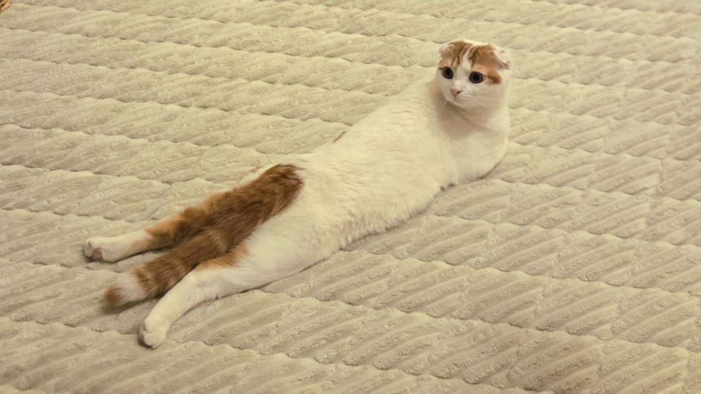 ＠sera230813さんの投稿より