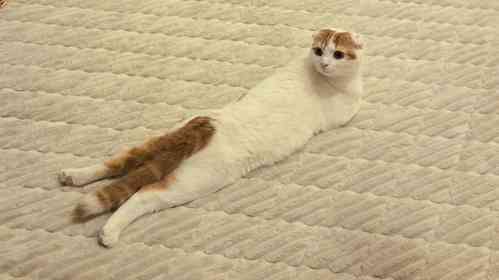 ＠sera230813さんの投稿より