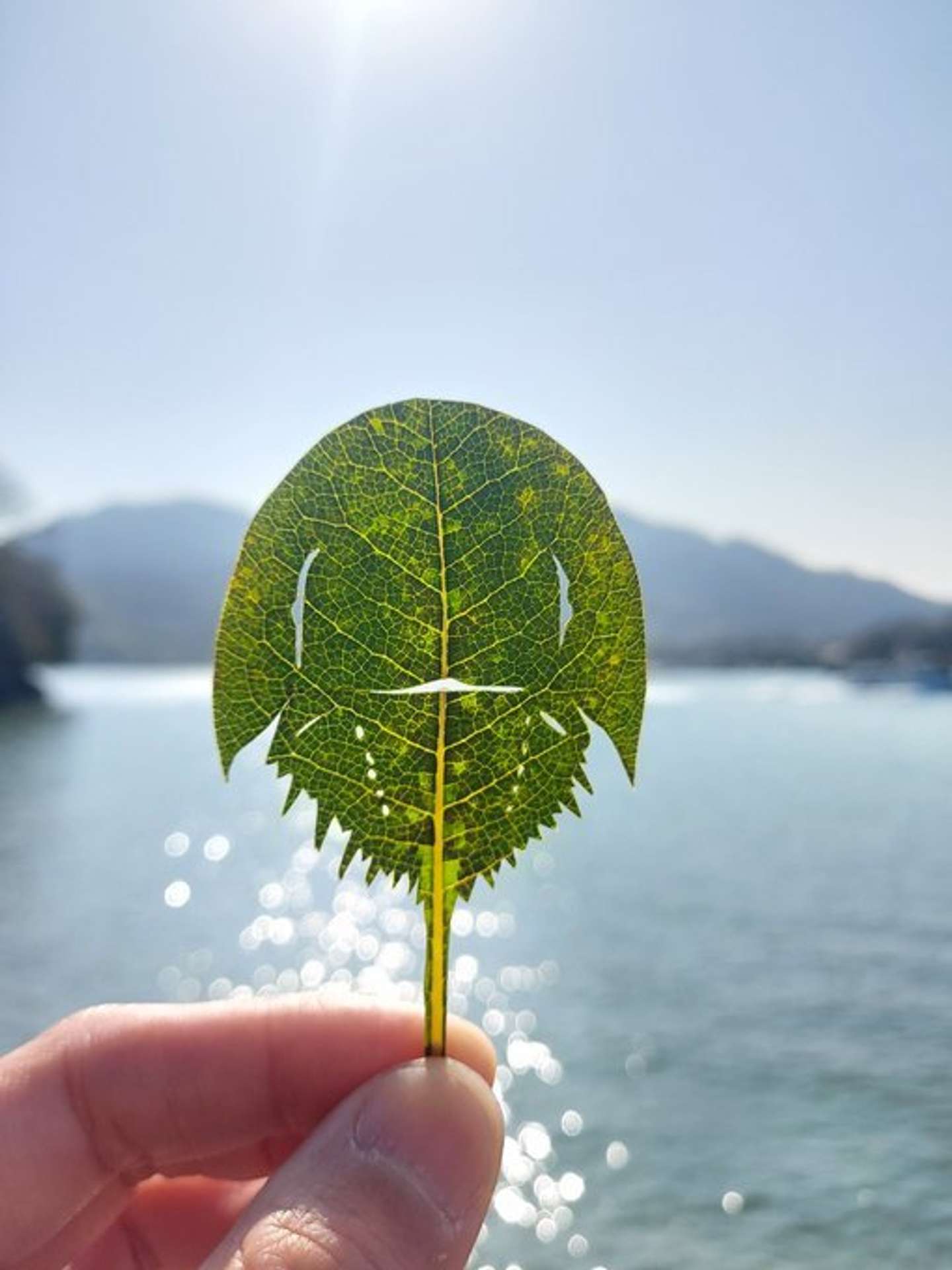 笠岡市立カブトガニ博物館【公式】（＠horseshoecrab_m）の投稿より
