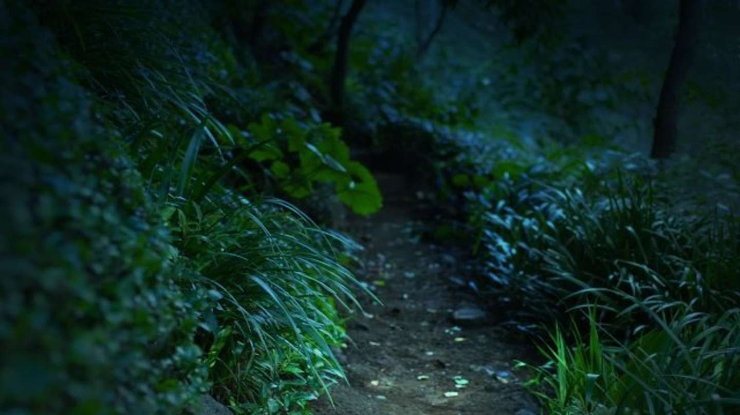 肝試しの夜に（画像はphotoACより、イメージ）