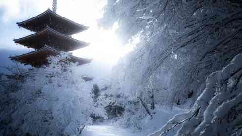 「これが京都の本気の雪景色」　神秘的な光が照らす白い世界と五重塔...幻想絶景に1.3万人感嘆