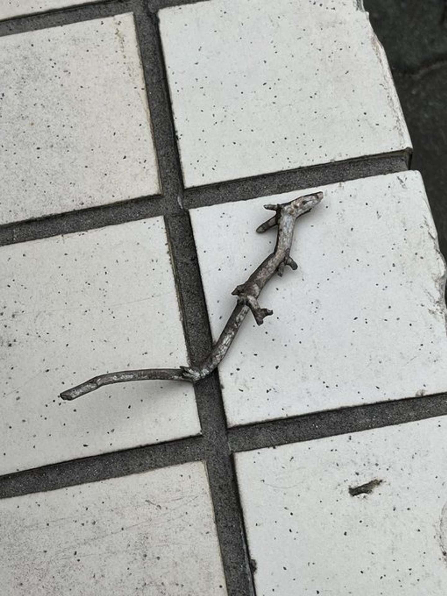 徳島求人情報 QSTYLEの公式Xアカウント（＠Qstyle_koshiki）の投稿より