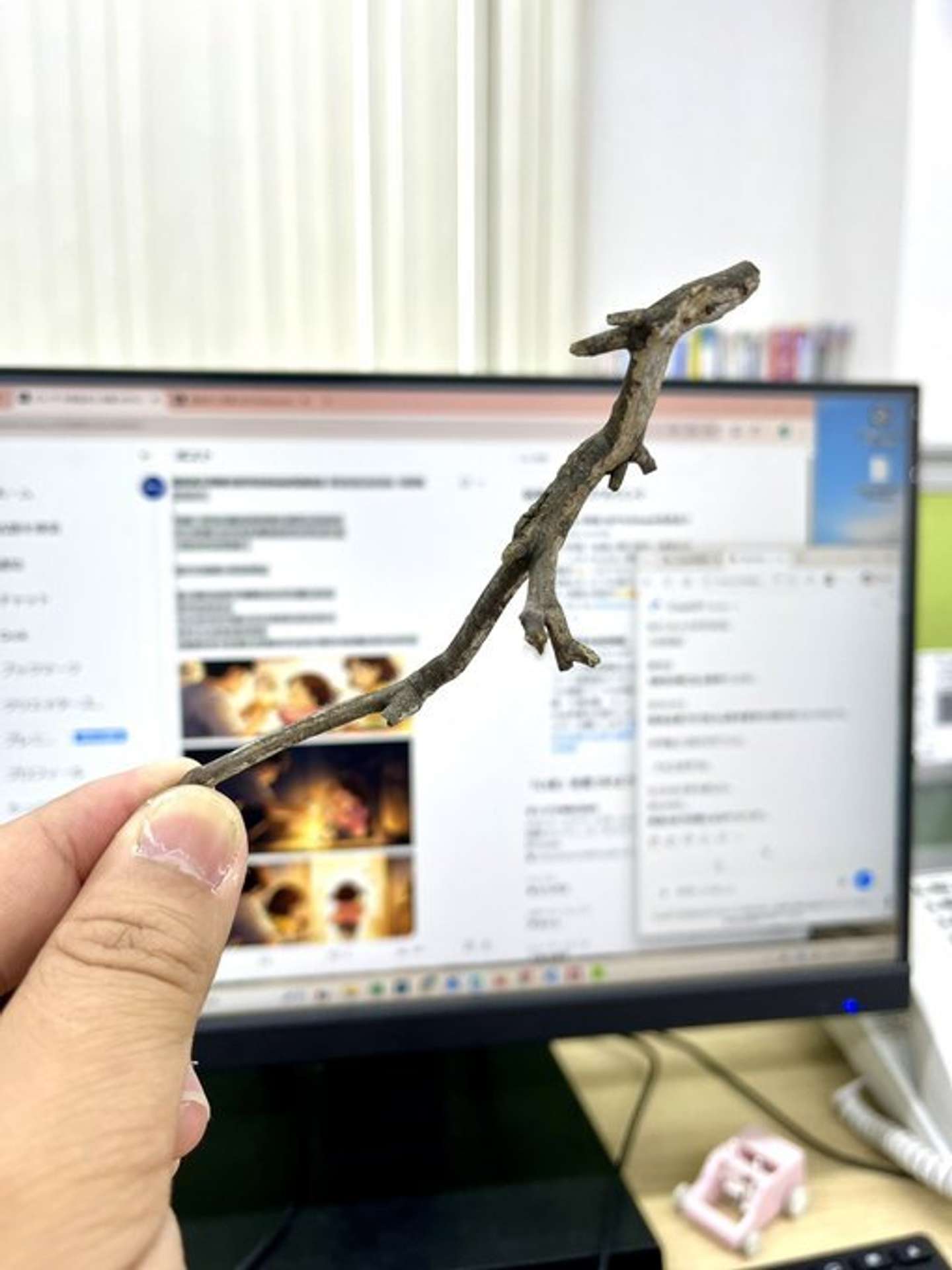 徳島求人情報 QSTYLEの公式Xアカウント（＠Qstyle_koshiki）の投稿より