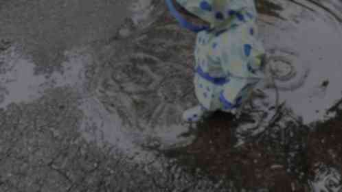 「産後8週間で職場復帰し疲弊していた私。何もかもが嫌になった雨の日、我が子に傘もささぬまま...」（東京都・50代女性）