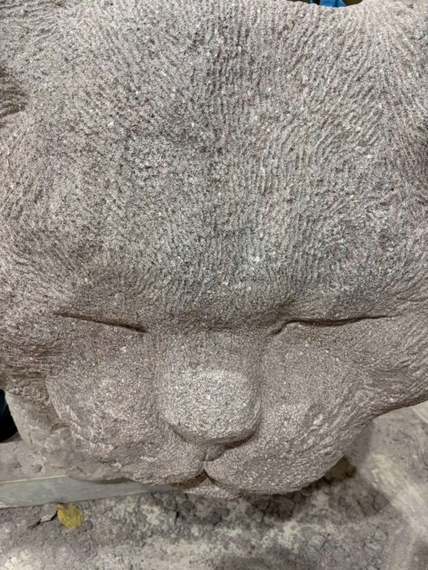 リアルな表情（画像提供：ねこ家）