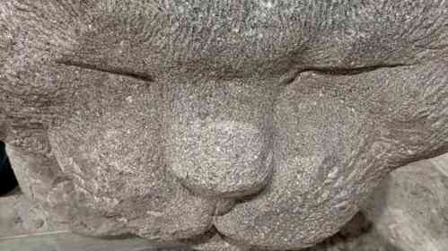 画像提供：ねこ家