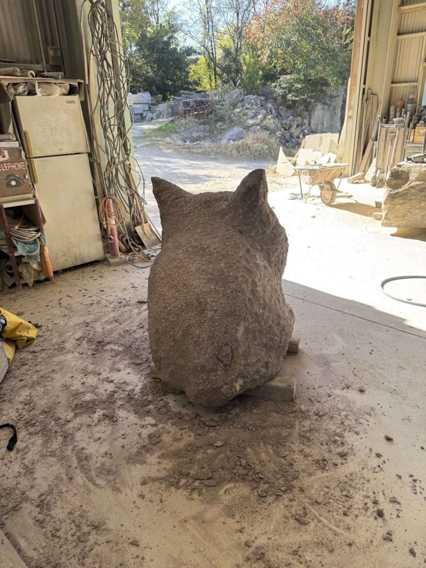 後ろ姿（画像提供：ねこ家）