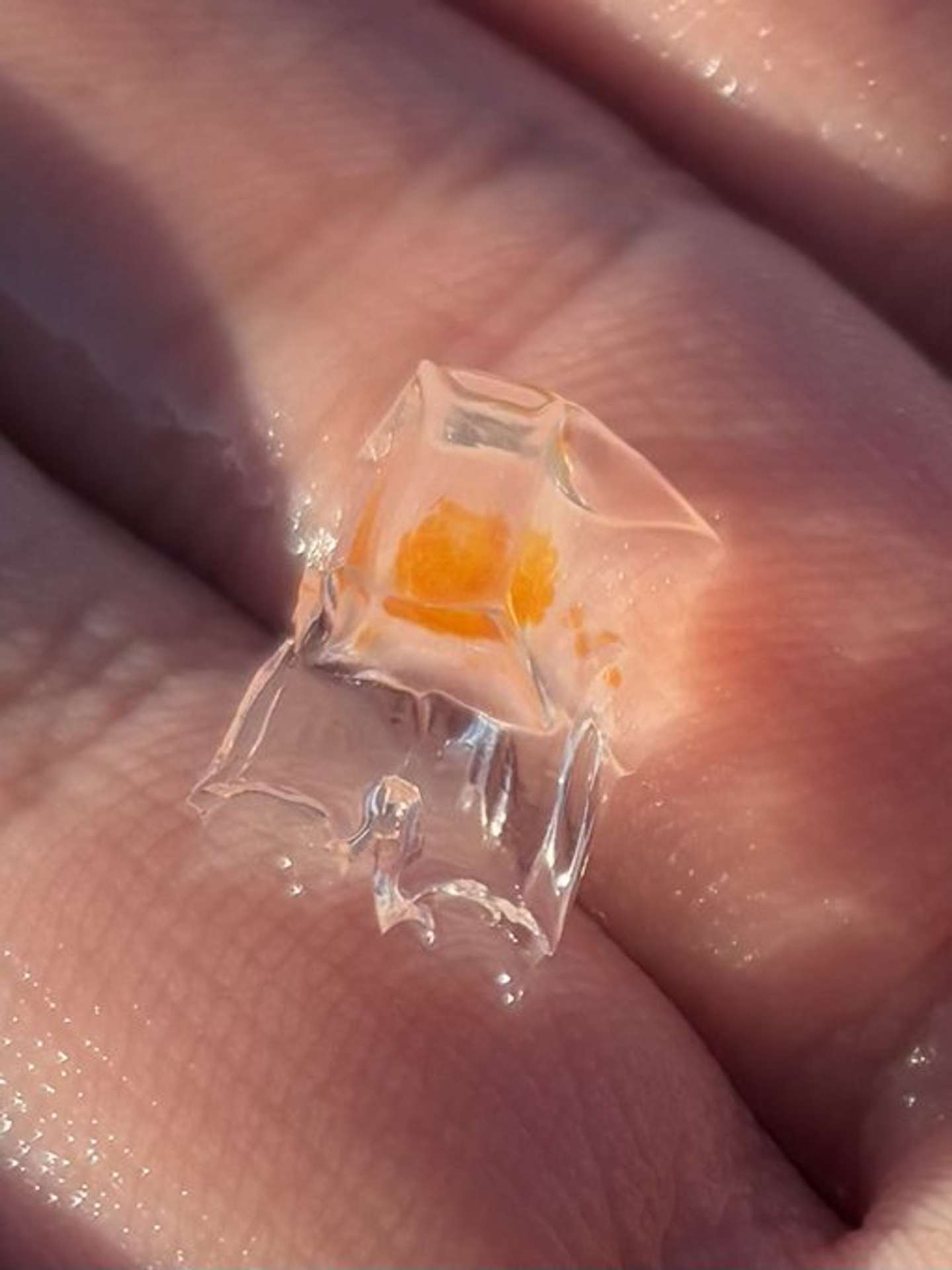 くらげノ脊髄（＠Spinal_Jelly）さんの投稿より、再掲