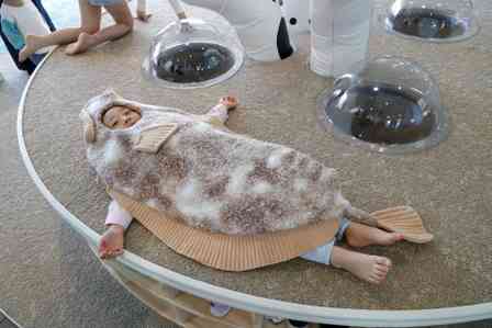 かわいい我が子がヒラメに変身！？　「アクアマリンふくしま」の生まれ変わった子供コーナーがめっちゃイイ