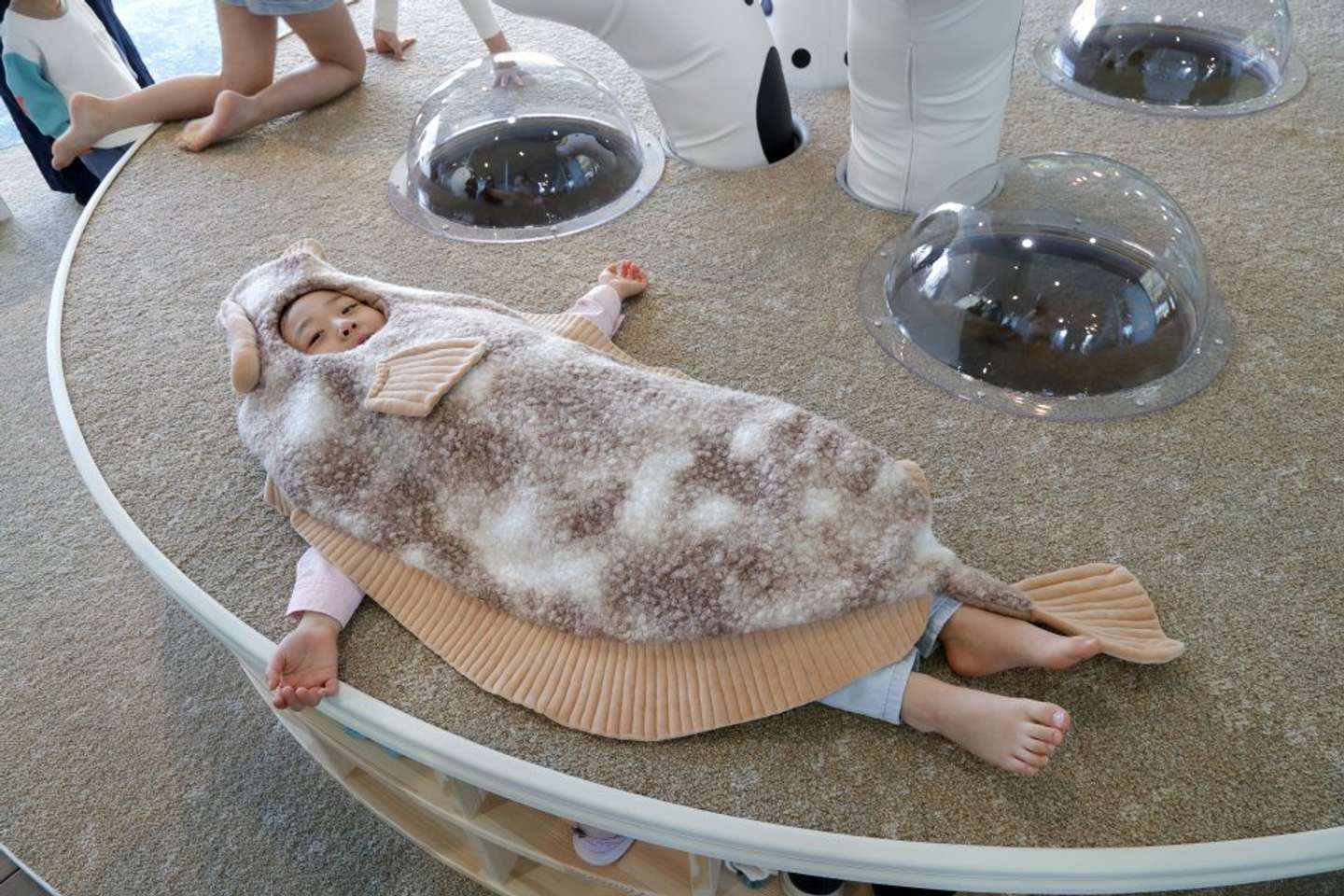 なりきりグッズのひとつ「ひらめぶとん」